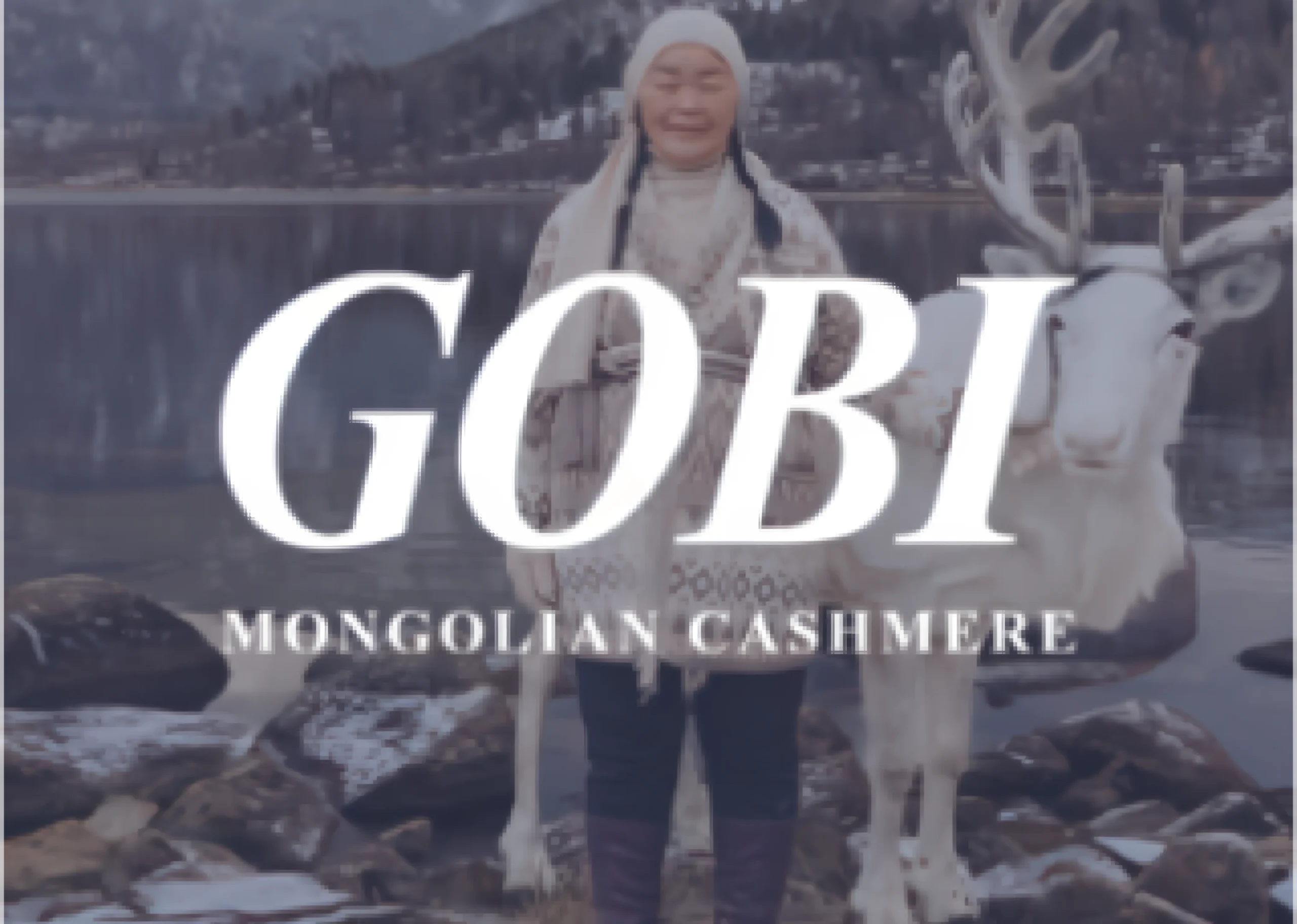 Gobi Cashmere