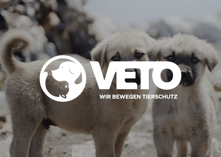 VETO Tierschutz
